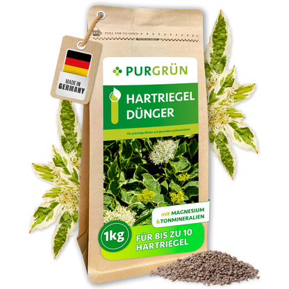 Purgrün Hartriegel-Dünger, 1 kg, im wiederverschließbaren Kraftpapierbeutel mit Hartriegelblüten und sichtbarem Krümelgranulat.