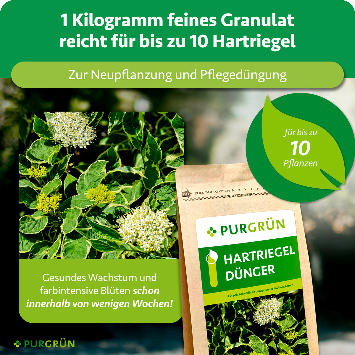 1 kg feines Granulat reicht für bis zu 10 Hartriegel und eignet sich zur Neupflanzung und Pflegedüngung.