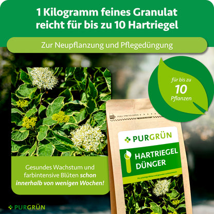 1 kg feines Granulat reicht für bis zu 10 Hartriegel und eignet sich zur Neupflanzung und Pflegedüngung.