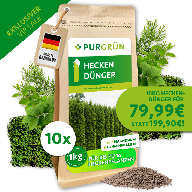 Purgrün Heckendünger, 10 kg als 10 × 1 kg, mit Magnesium und Tonmineralien. VIP-Angebot: 79,99 € statt 199,90 €.