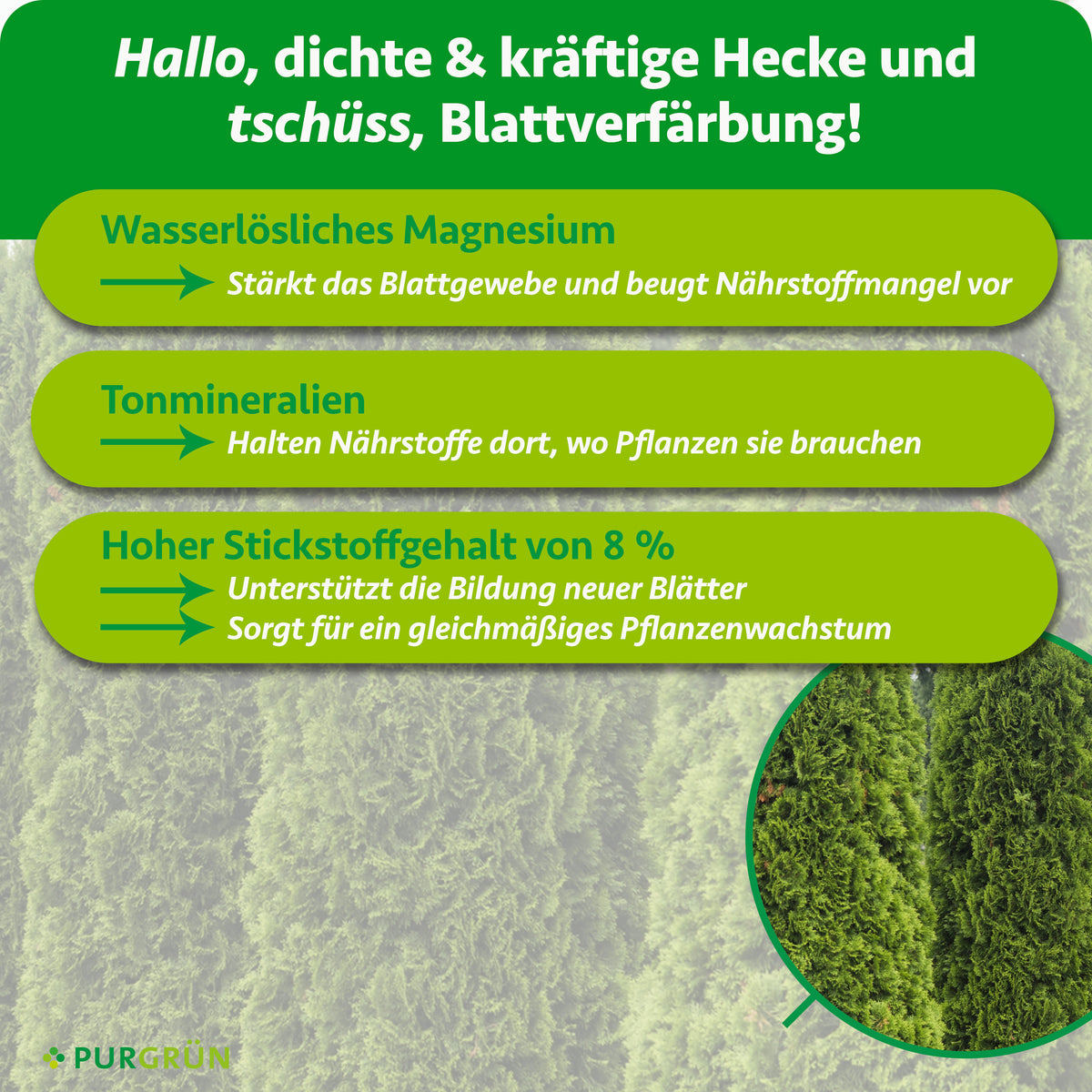 Wasserlösliches Magnesium stärkt das Blattgewebe, Tonmineralien halten Nährstoffe verfügbar und 8 % Stickstoff unterstützen neue Blätter sowie gleichmäßiges Wachstum.