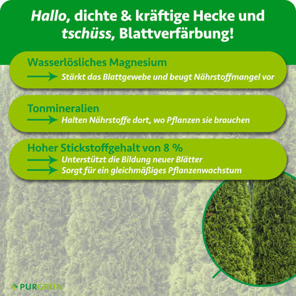Wasserlösliches Magnesium stärkt das Blattgewebe, Tonmineralien halten Nährstoffe verfügbar und 8 % Stickstoff unterstützen neue Blätter sowie gleichmäßiges Wachstum.
