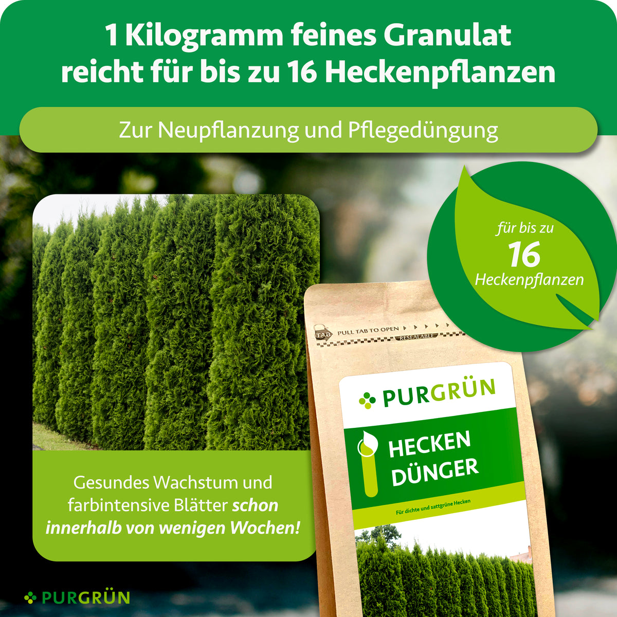 1 kg feines Granulat reicht bei Neu- und Pflegepflanzungen für bis zu 16 Heckenpflanzen und fördert farbintensive Blätter innerhalb weniger Wochen.