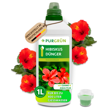 Purgrün Hibiskus-Dünger, 1 Liter, mit Dosierkappe und roten Hibiskusblüten.