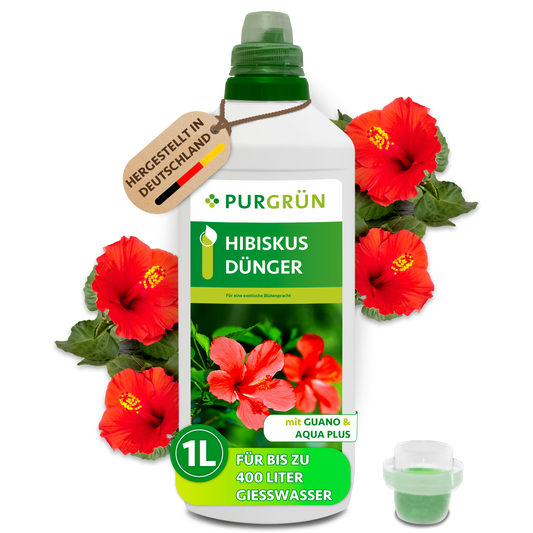 Purgrün Hibiskus-Dünger, 1 Liter, mit Dosierkappe und roten Hibiskusblüten.