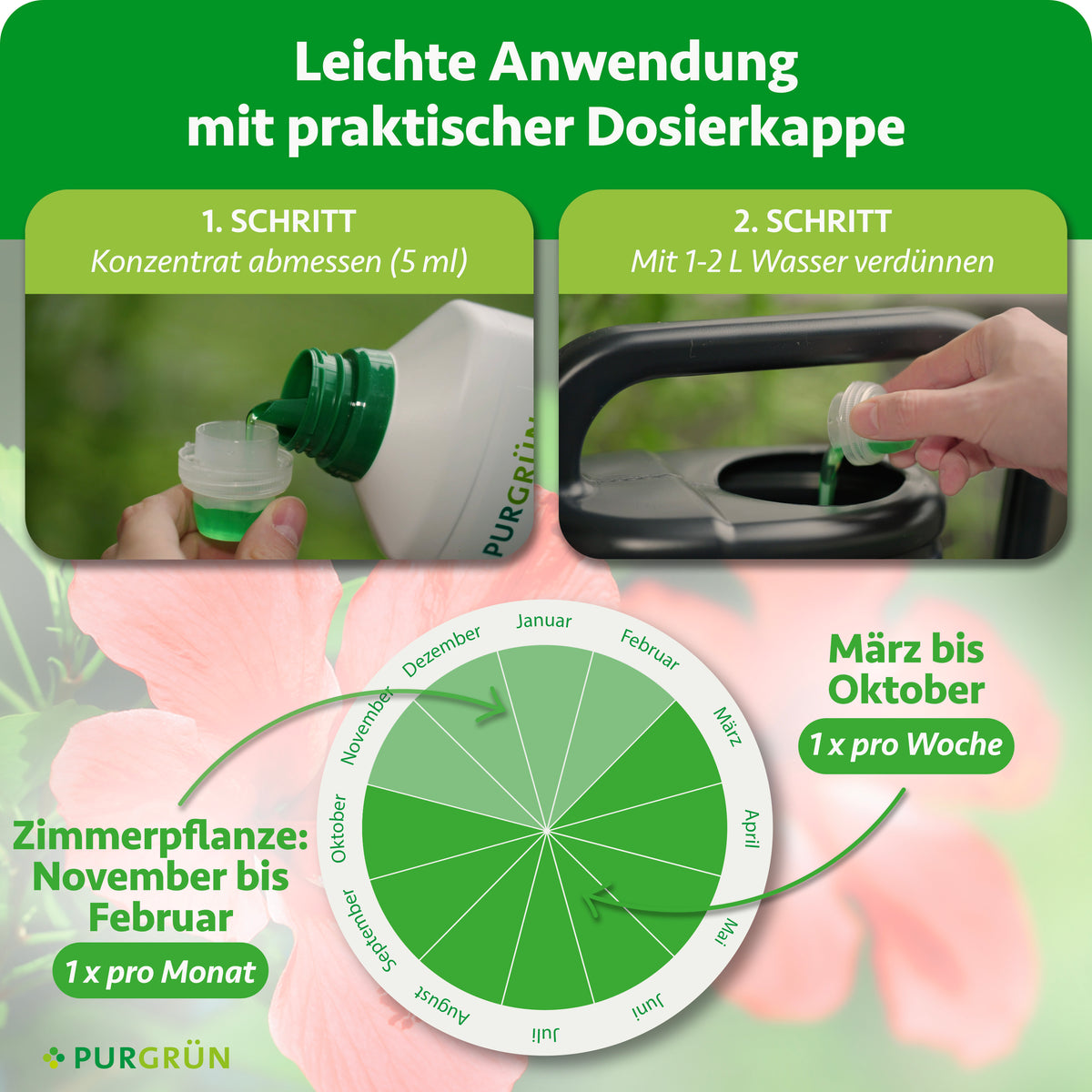 Anwendung: 5 ml Konzentrat abmessen und mit 1–2 Litern Wasser verdünnen. März bis Oktober einmal pro Woche, bei Zimmerpflanzen November bis Februar einmal pro Monat düngen.