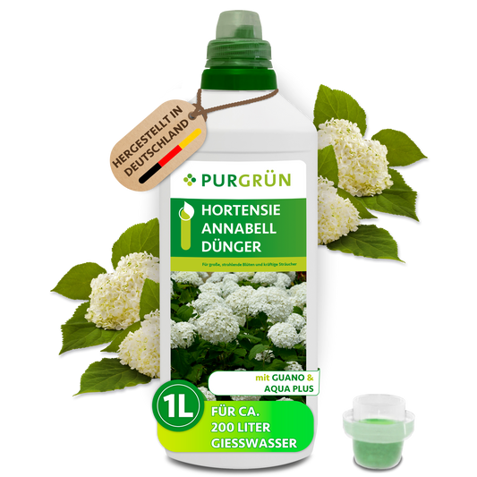 Purgrün Hortensie-Annabell-Dünger in der 1-Liter-Flasche mit Dosierkappe, umrahmt von weißen Annabell-Hortensien.