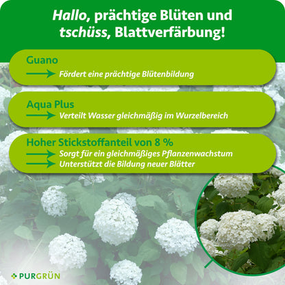 Guano fördert die Blütenbildung, Aqua Plus verteilt Wasser gleichmäßig im Wurzelbereich. 8 % Stickstoff unterstützen gleichmäßiges Wachstum und die Bildung neuer Blätter.