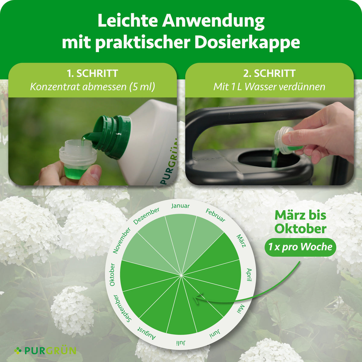 Anwendung: 5 ml Konzentrat abmessen, mit 1 L Wasser verdünnen und von März bis Oktober 1x pro Woche düngen.