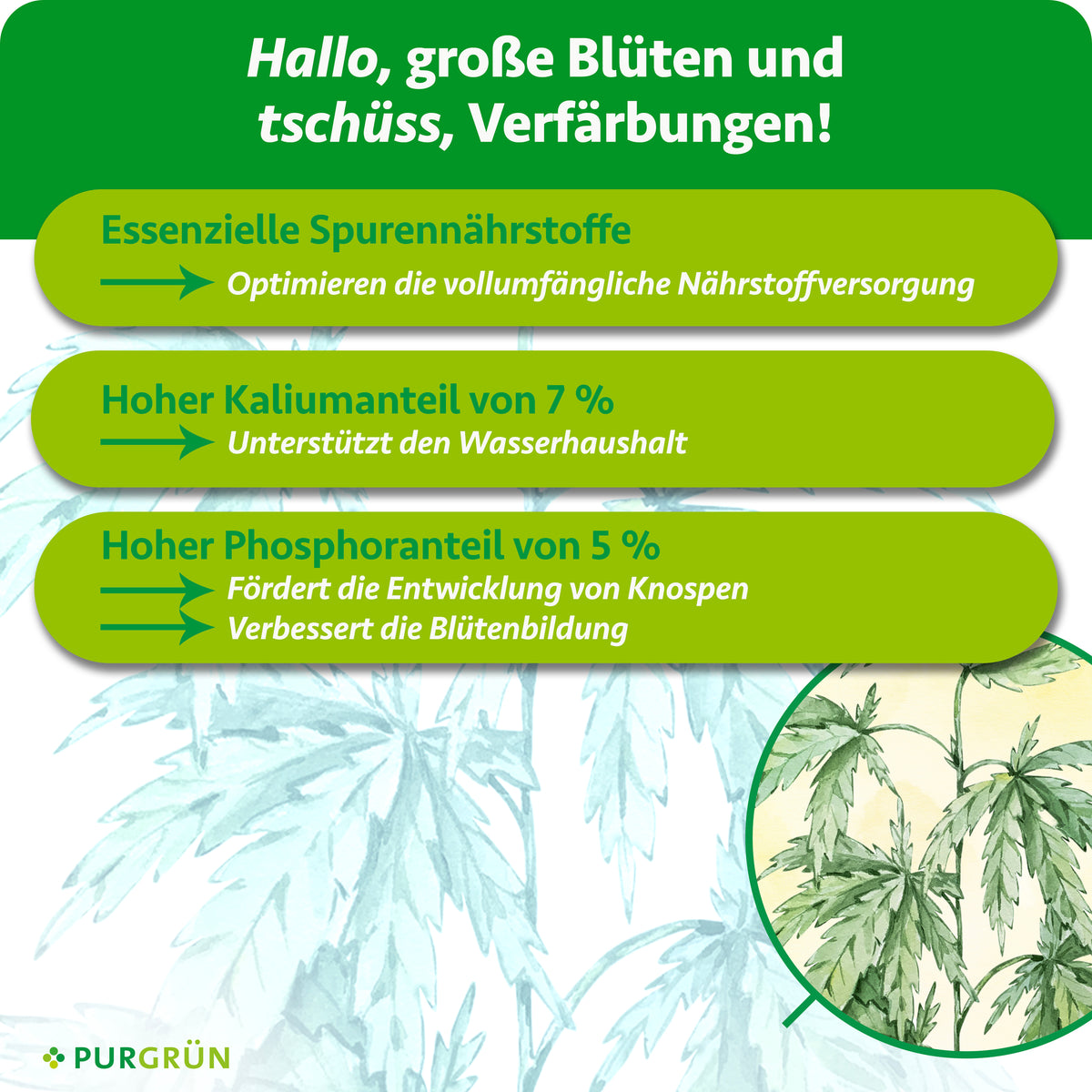 Essenzielle Spurennährstoffe optimieren die Nährstoffversorgung; 7 % Kalium unterstützen den Wasserhaushalt, 5 % Phosphor fördern Knospenentwicklung und Blütenbildung.