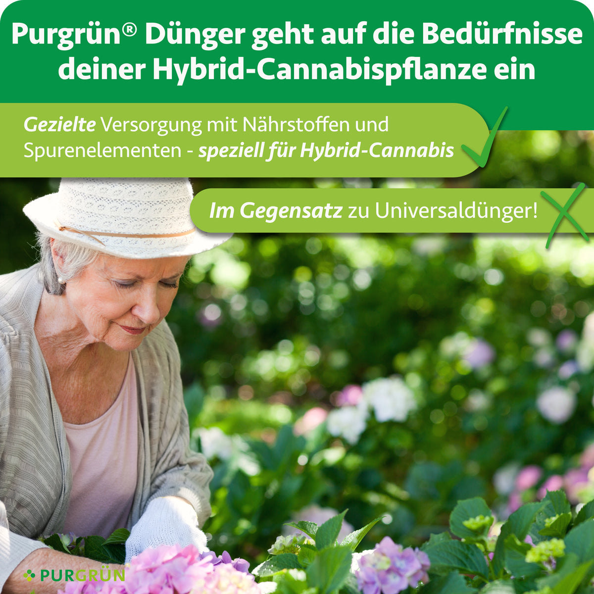 Purgrün Hybrid-Bloom-Dünger versorgt Hybrid-Cannabis gezielt mit Nährstoffen und Spurenelementen statt mit Universaldünger.