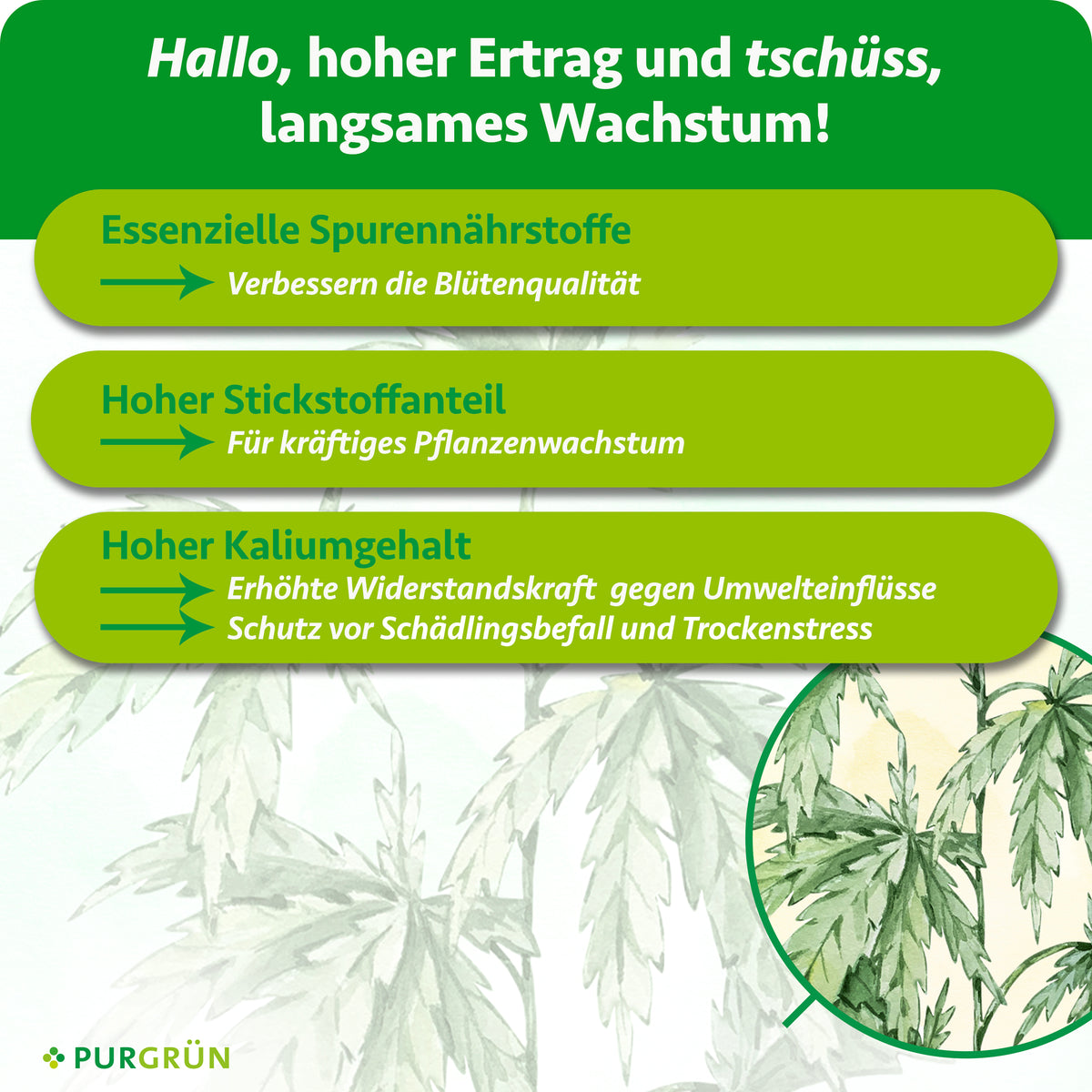Essenzielle Spurennährstoffe verbessern die Blütenqualität, Stickstoff fördert kräftiges Pflanzenwachstum und Kalium erhöht die Widerstandskraft gegen Umwelteinflüsse, Schädlingsbefall und Trockenstress.