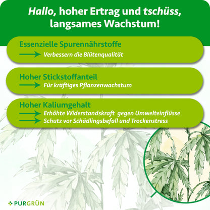 Essenzielle Spurennährstoffe verbessern die Blütenqualität, Stickstoff fördert kräftiges Pflanzenwachstum und Kalium erhöht die Widerstandskraft gegen Umwelteinflüsse, Schädlingsbefall und Trockenstress.