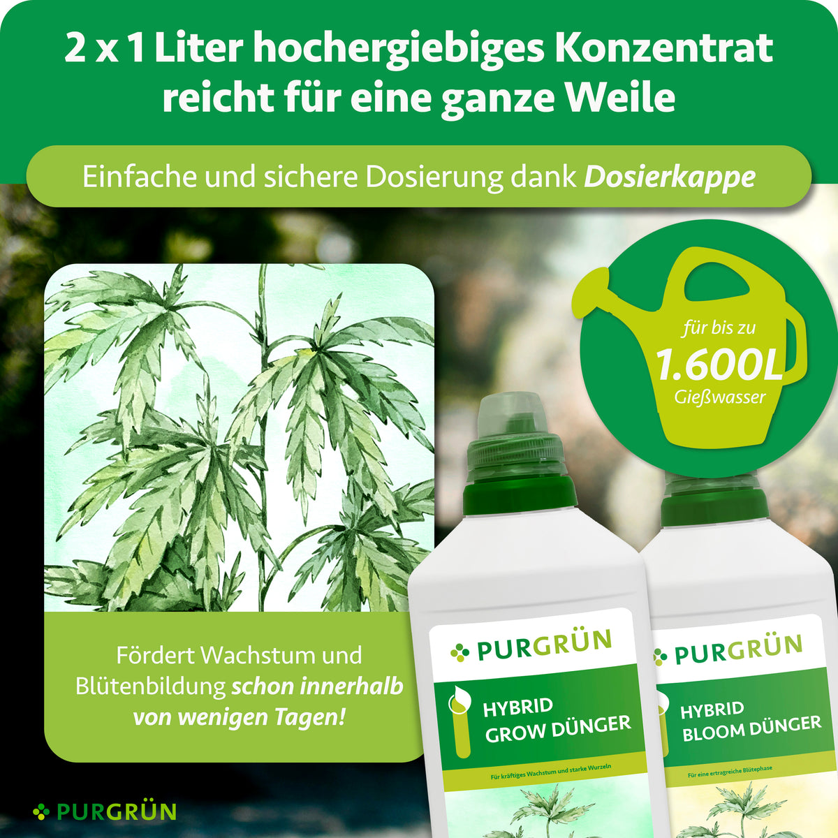 Zwei 1-Liter-Flaschen Konzentrat mit Dosierkappe, laut Grafik ausreichend für bis zu 1.600 Liter Gießwasser und zur Förderung von Wachstum und Blütenbildung innerhalb weniger Tage.