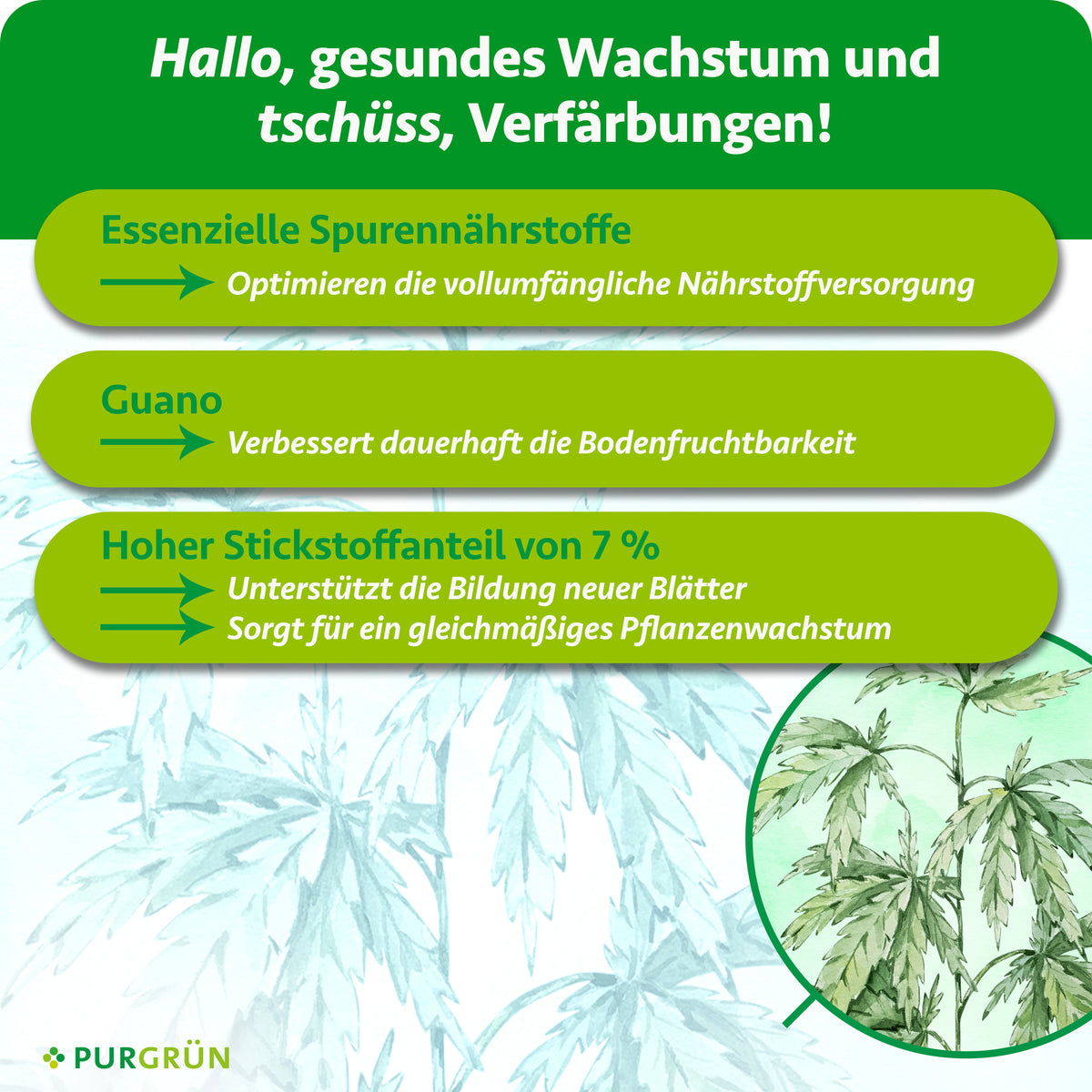 Essenzielle Spurennährstoffe optimieren die Nährstoffversorgung, Guano verbessert die Bodenfruchtbarkeit und 7 % Stickstoff unterstützen neue Blätter sowie gleichmäßiges Wachstum.
