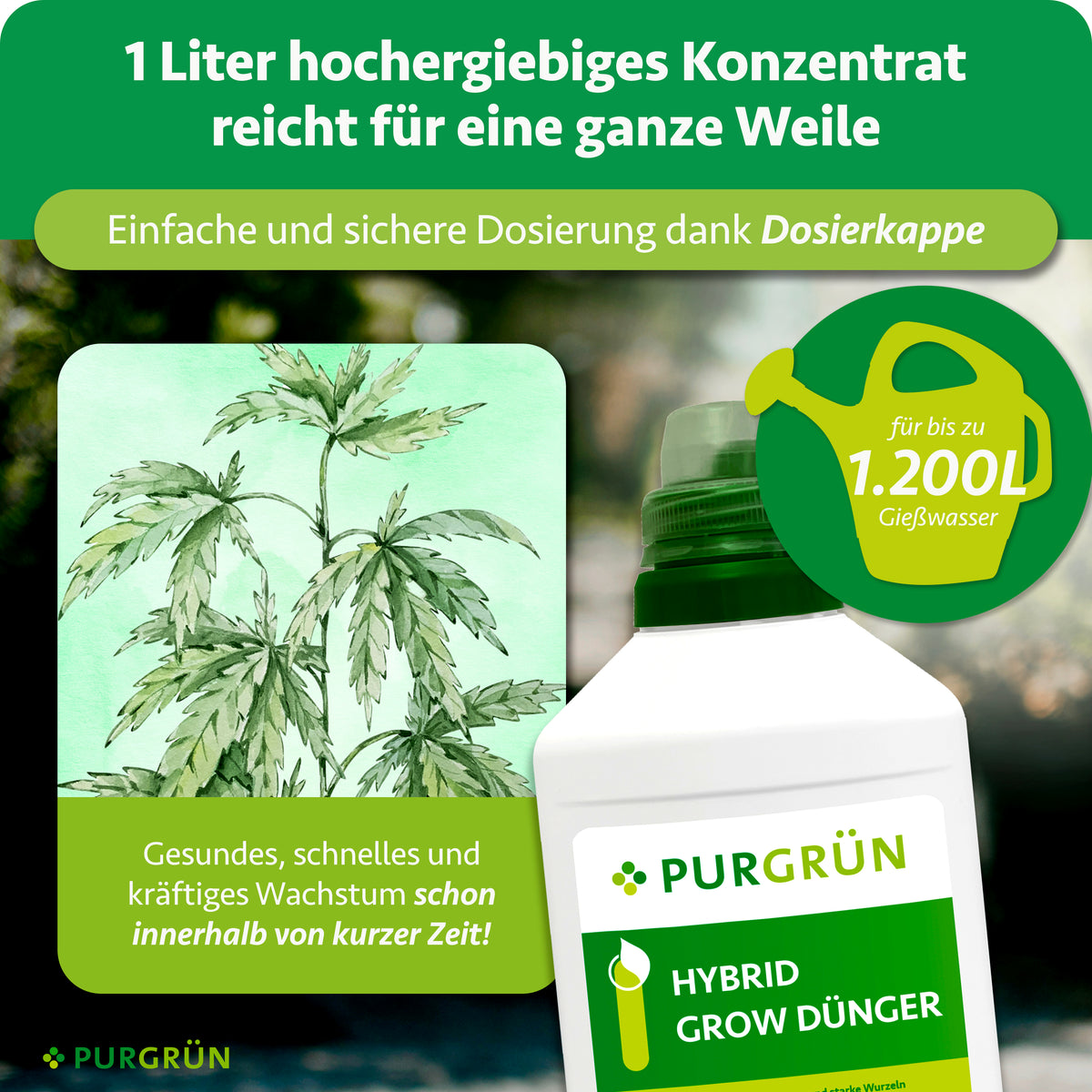 1 Liter Konzentrat reicht dank Dosierkappe für bis zu 1.200 Liter Gießwasser und soll gesundes, schnelles sowie kräftiges Wachstum fördern.