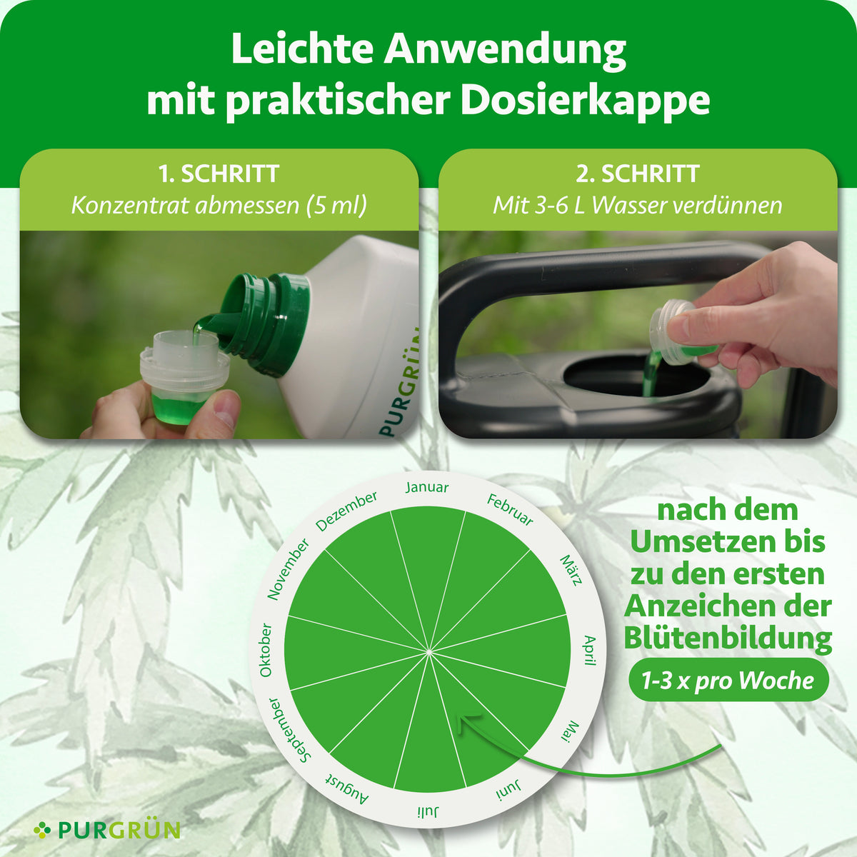 Anwendung: 5 ml Konzentrat abmessen, mit 3–6 Litern Wasser verdünnen und nach dem Umsetzen bis zu den ersten Anzeichen der Blütenbildung 1–3-mal pro Woche geben.