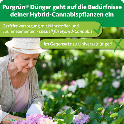 Ältere Gärtnerin im Blumenbeet; Purgrün Dünger versorgt Hybrid-Cannabispflanzen gezielt mit Nährstoffen und Spurenelementen statt mit Universaldünger.