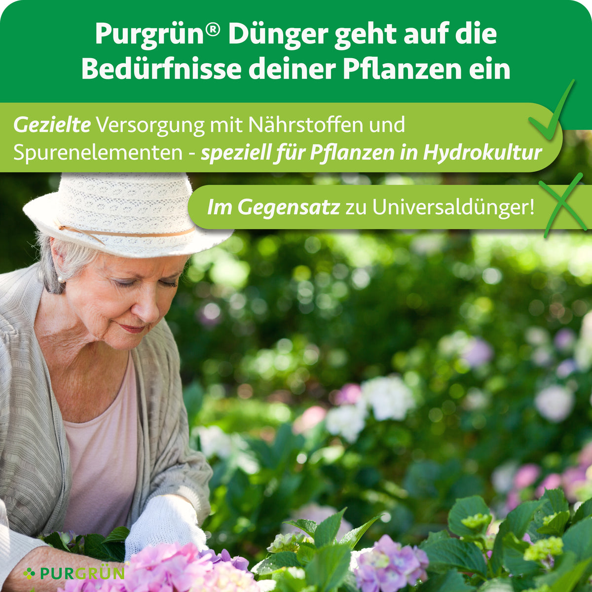 Gezielte Versorgung mit Nährstoffen und Spurenelementen speziell für Hydrokulturpflanzen statt Universaldünger.