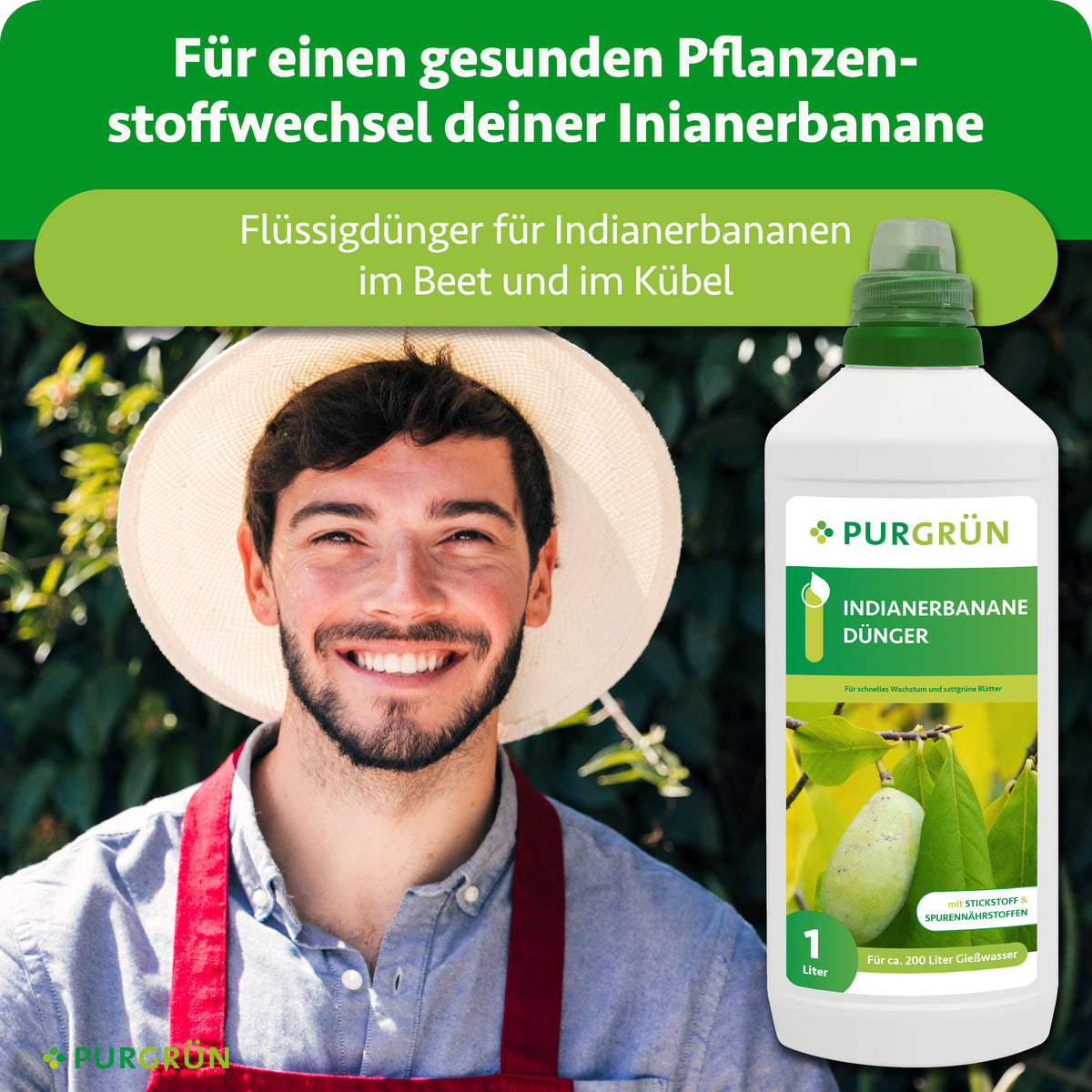 Flüssigdünger für Indianerbananen im Beet und Kübel, dargestellt neben einem Gärtner; für einen gesunden Pflanzenstoffwechsel.