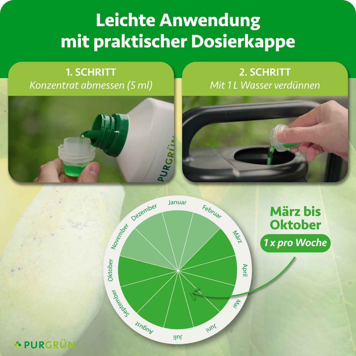 Anwendung von März bis Oktober einmal wöchentlich: 5 ml Konzentrat abmessen und mit 1 Liter Wasser verdünnen.