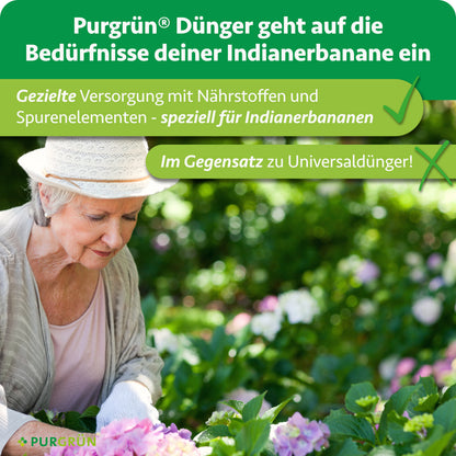 Gezielte Versorgung mit Nährstoffen und Spurenelementen speziell für Indianerbananen statt Universaldünger; eine Frau arbeitet im Garten.