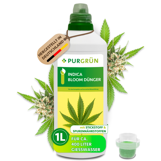 Purgrün Indica-Bloom-Dünger in der 1-Liter-Flasche mit Dosierkappe; das Konzentrat reicht laut Etikett für ca. 400 Liter Gießwasser.