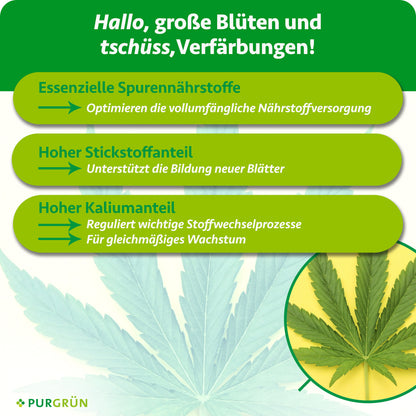 Essenzielle Spurennährstoffe optimieren die Nährstoffversorgung, Stickstoff unterstützt die Bildung neuer Blätter. Kalium reguliert wichtige Stoffwechselprozesse und fördert gleichmäßiges Wachstum.