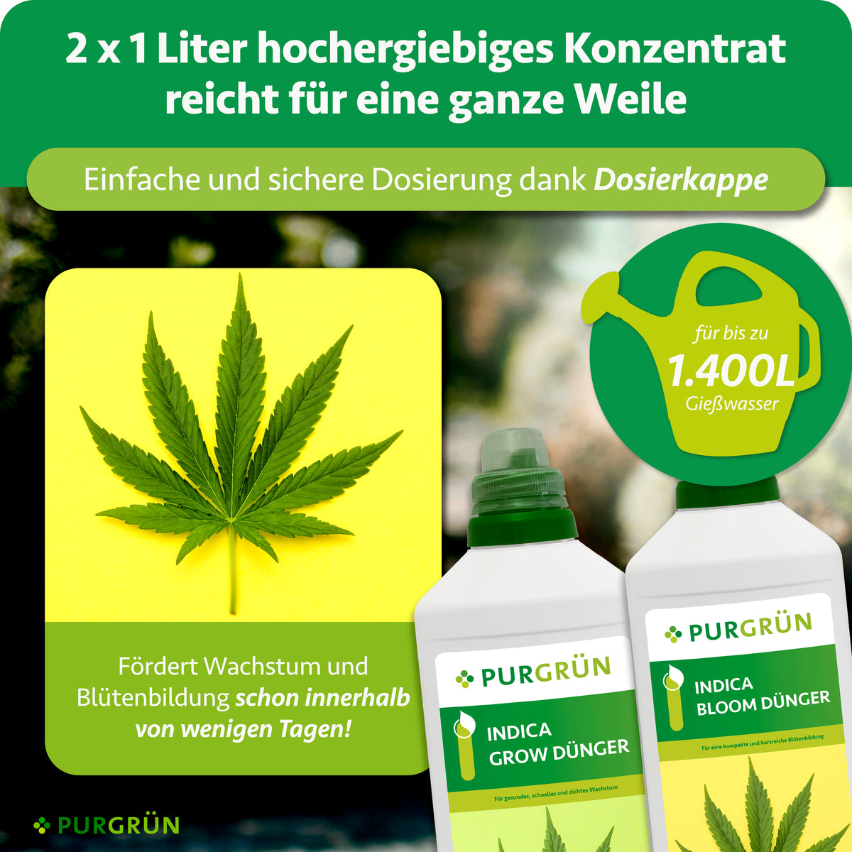 Das 2 × 1-Liter-Konzentrat besitzt Dosierkappen und reicht laut Infografik für bis zu 1.400 Liter Gießwasser.
