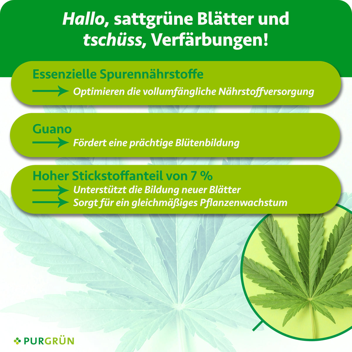 Essenzielle Spurennährstoffe optimieren die Nährstoffversorgung, Guano fördert die Blütenbildung und 7 % Stickstoff unterstützen neue Blätter sowie gleichmäßiges Wachstum.