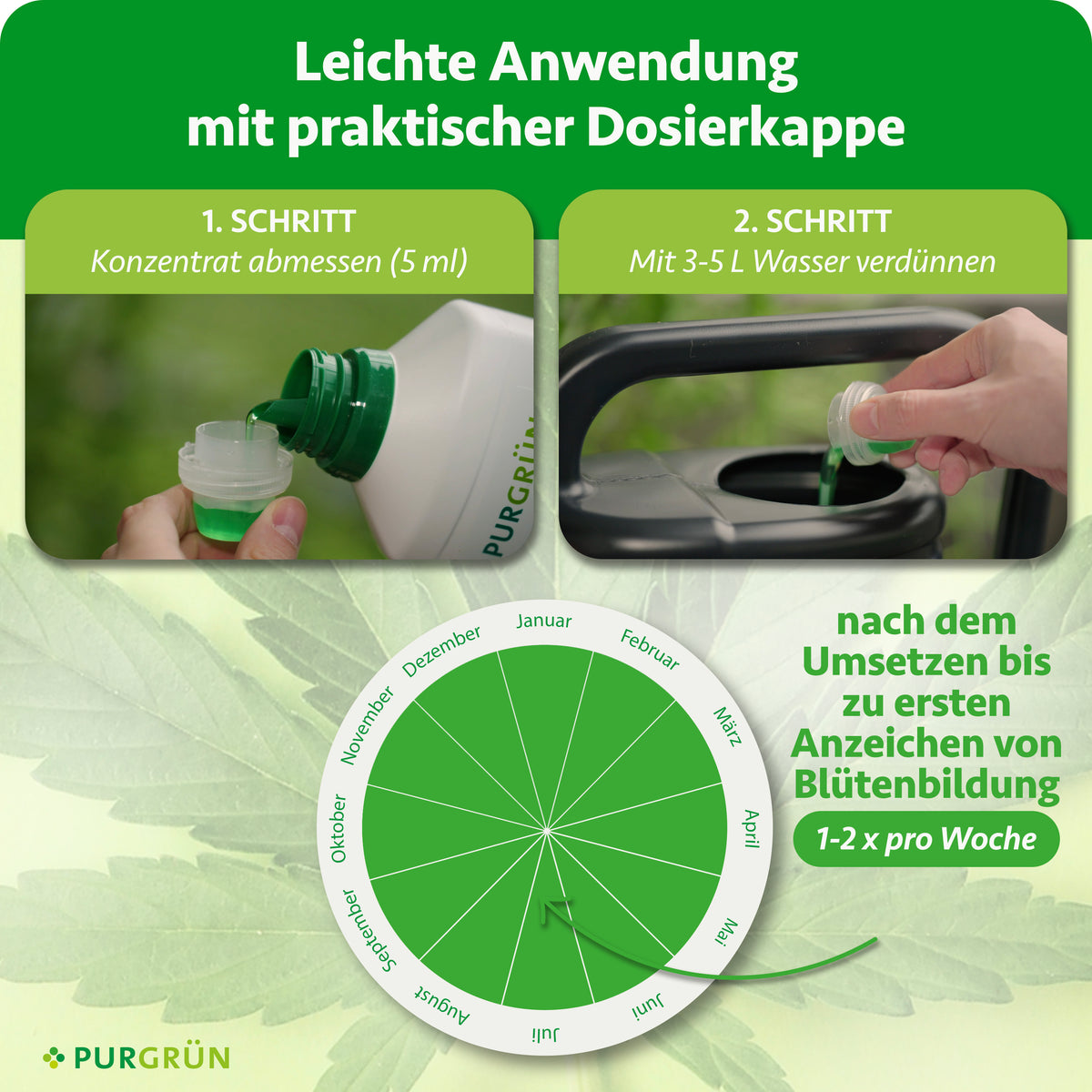Anwendung: 5 ml Konzentrat abmessen, mit 3–5 Litern Wasser verdünnen und nach dem Umsetzen bis zu den ersten Anzeichen der Blütenbildung 1–2-mal pro Woche geben.