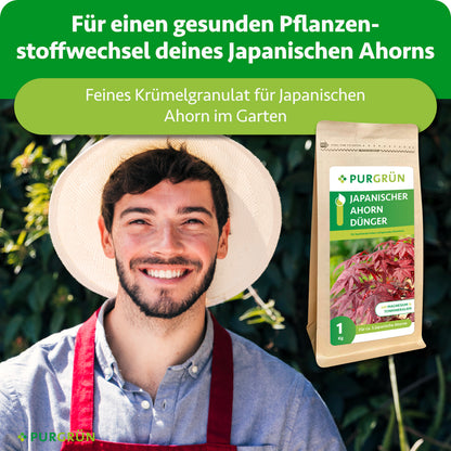 Feines Krümelgranulat für einen gesunden Pflanzenstoffwechsel des Japanischen Ahorns; daneben ein lächelnder Gärtner und der Düngerbeutel.