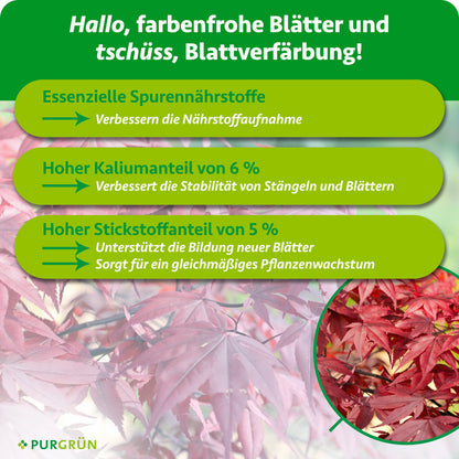 Essenzielle Spurennährstoffe verbessern die Nährstoffaufnahme; 6 % Kalium fördern stabile Stängel und Blätter. 5 % Stickstoff unterstützt neue Blätter und gleichmäßiges Pflanzenwachstum.