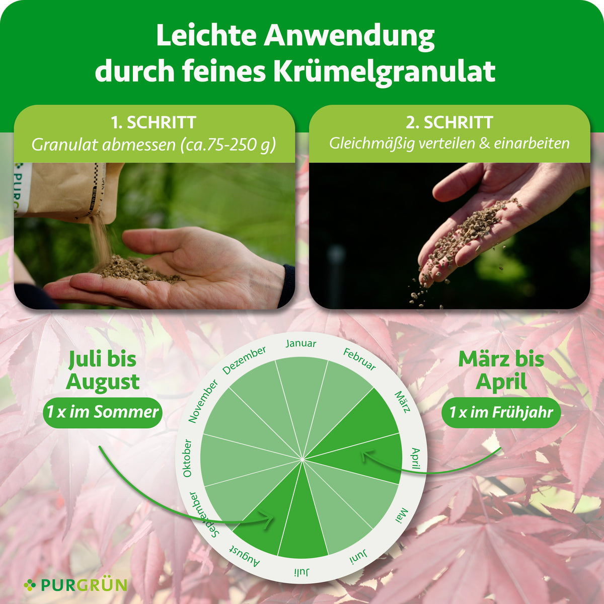 Anwendung: ca. 75–250 g Granulat abmessen, gleichmäßig verteilen und einarbeiten. Je einmal im März bis April und im Juli bis August düngen.