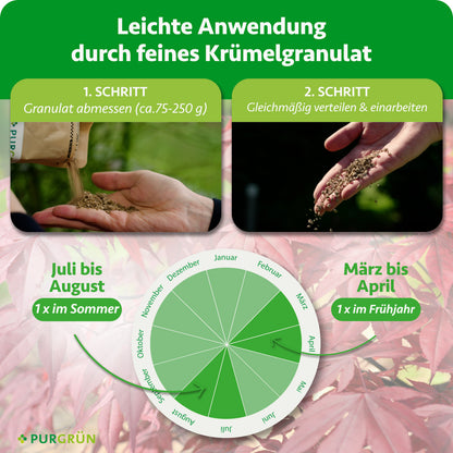 Anwendung: ca. 75–250 g Granulat abmessen, gleichmäßig verteilen und einarbeiten. Je einmal im März bis April und im Juli bis August düngen.
