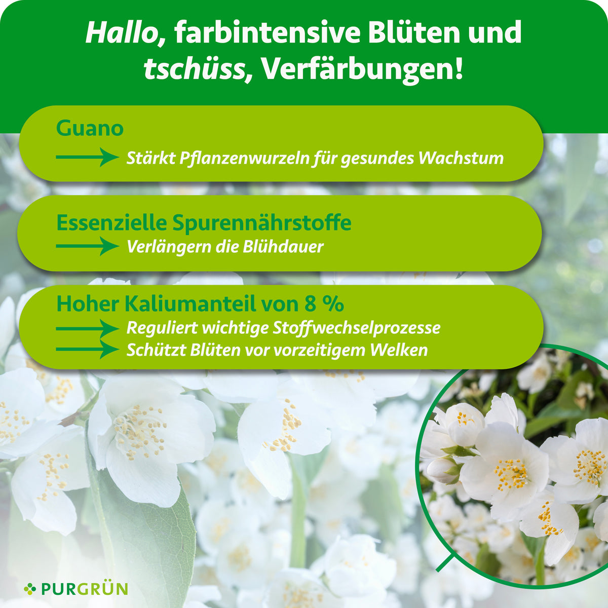 Guano stärkt die Pflanzenwurzeln, Spurennährstoffe verlängern die Blühdauer und 8 % Kalium unterstützen Stoffwechselprozesse und schützen Blüten vor vorzeitigem Welken.