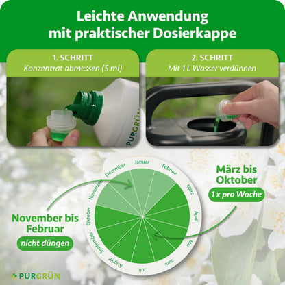 5 ml Konzentrat abmessen und mit 1 Liter Wasser verdünnen. März bis Oktober 1-mal pro Woche düngen, November bis Februar nicht düngen.