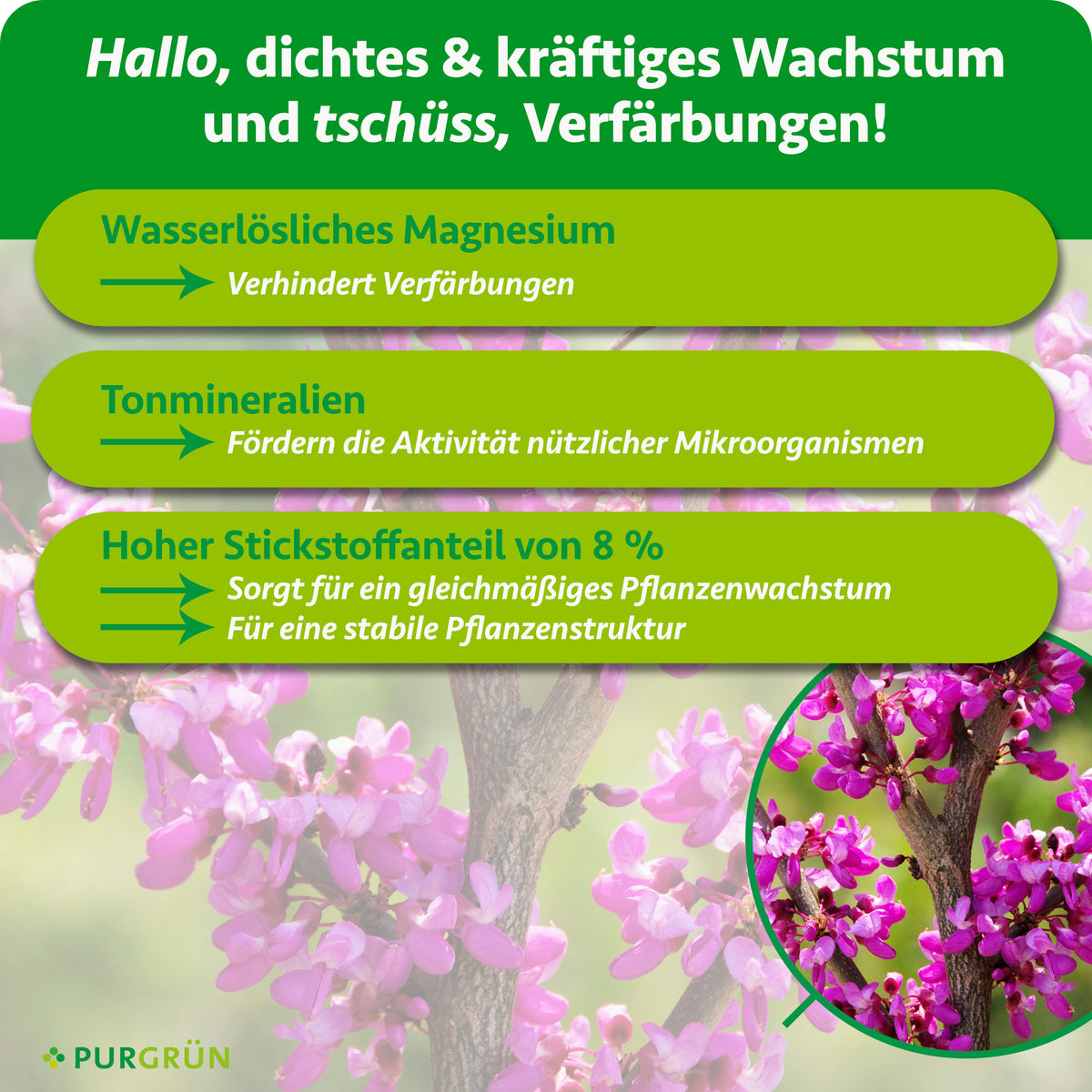 Wasserlösliches Magnesium verhindert Verfärbungen, Tonmineralien fördern nützliche Mikroorganismen und 8 % Stickstoff unterstützen gleichmäßiges Wachstum und eine stabile Pflanzenstruktur.
