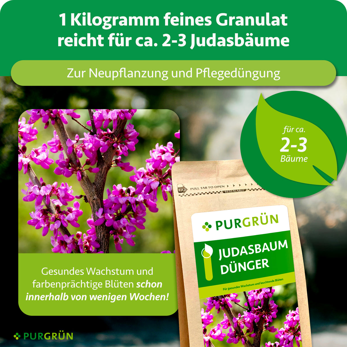 1 Kilogramm feines Granulat reicht für ca. 2–3 Judasbäume und eignet sich zur Neupflanzung und Pflegedüngung.