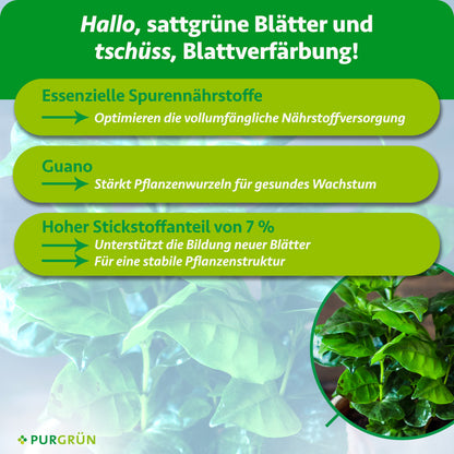 Essenzielle Spurennährstoffe optimieren die Nährstoffversorgung, Guano stärkt die Wurzeln. Ein Stickstoffanteil von 7 % unterstützt neue Blätter und eine stabile Pflanzenstruktur.