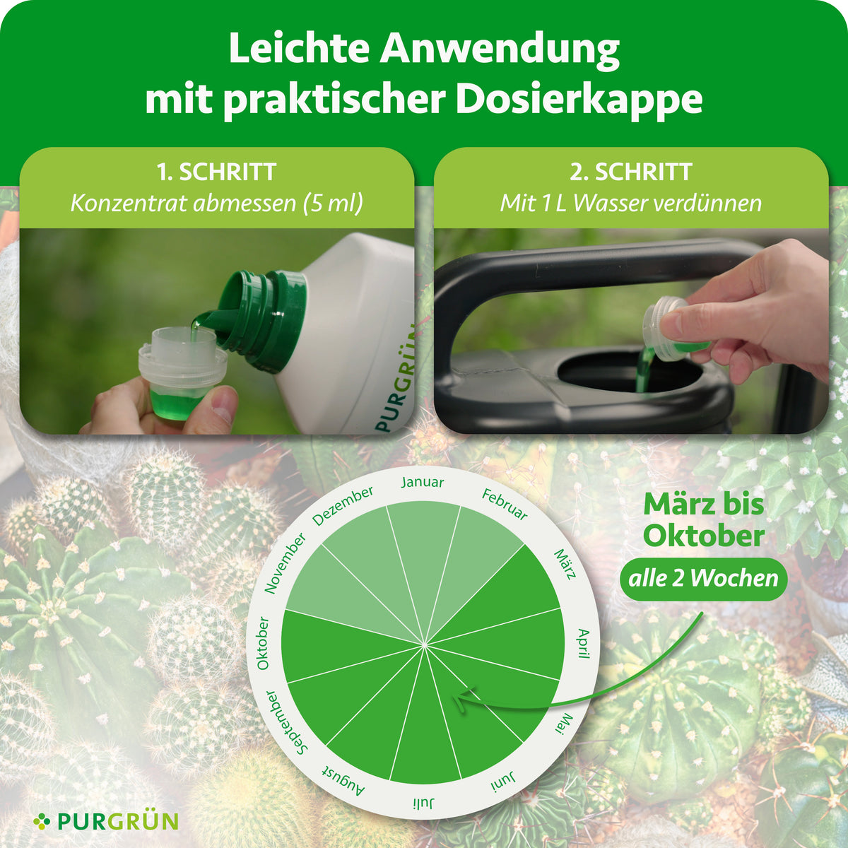 Anwendung: 5 ml Konzentrat abmessen und mit 1 Liter Wasser verdünnen; von März bis Oktober alle 2 Wochen düngen.