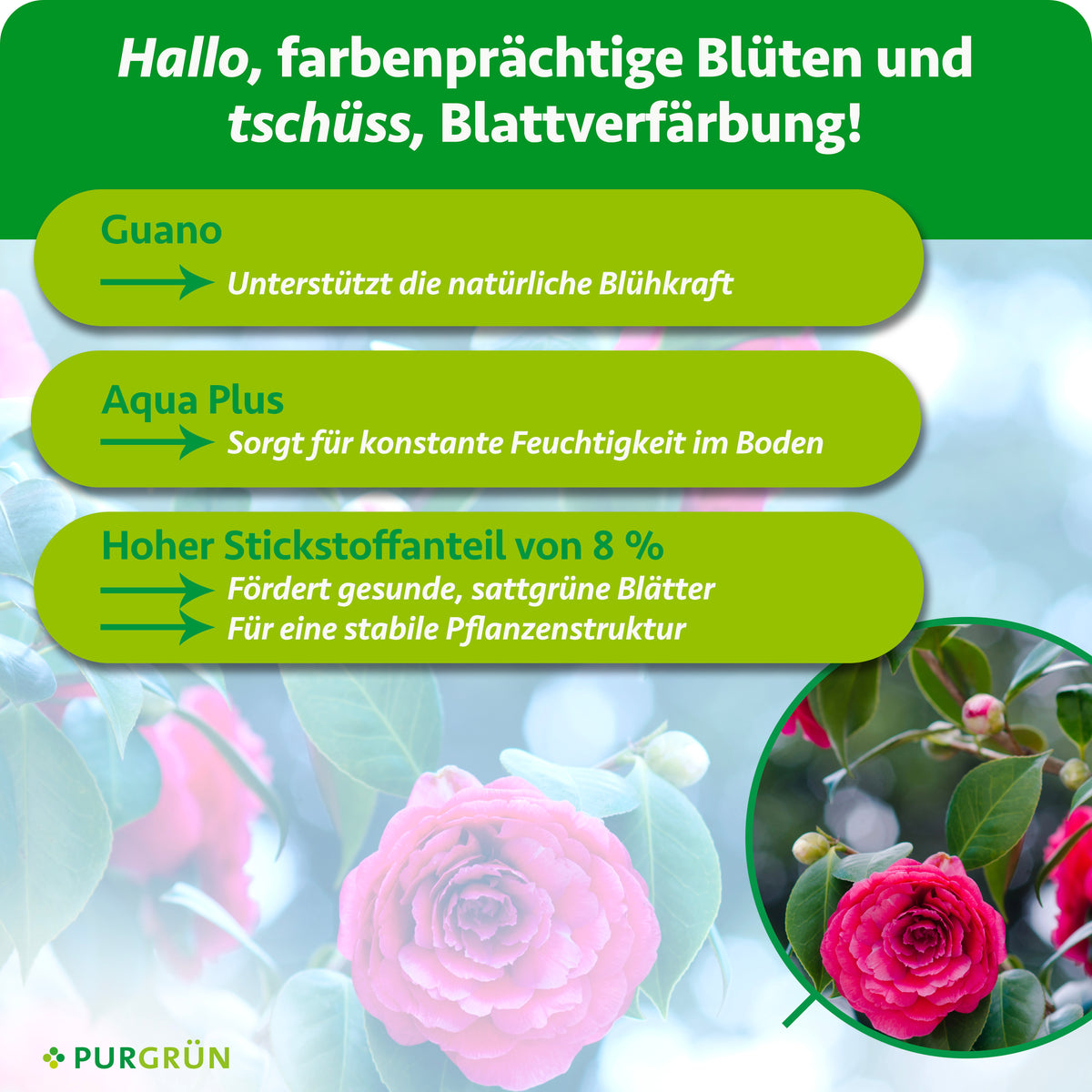 Guano unterstützt die natürliche Blühkraft, Aqua Plus hält den Boden konstant feucht; 8 % Stickstoff fördern sattgrüne Blätter und eine stabile Pflanzenstruktur.