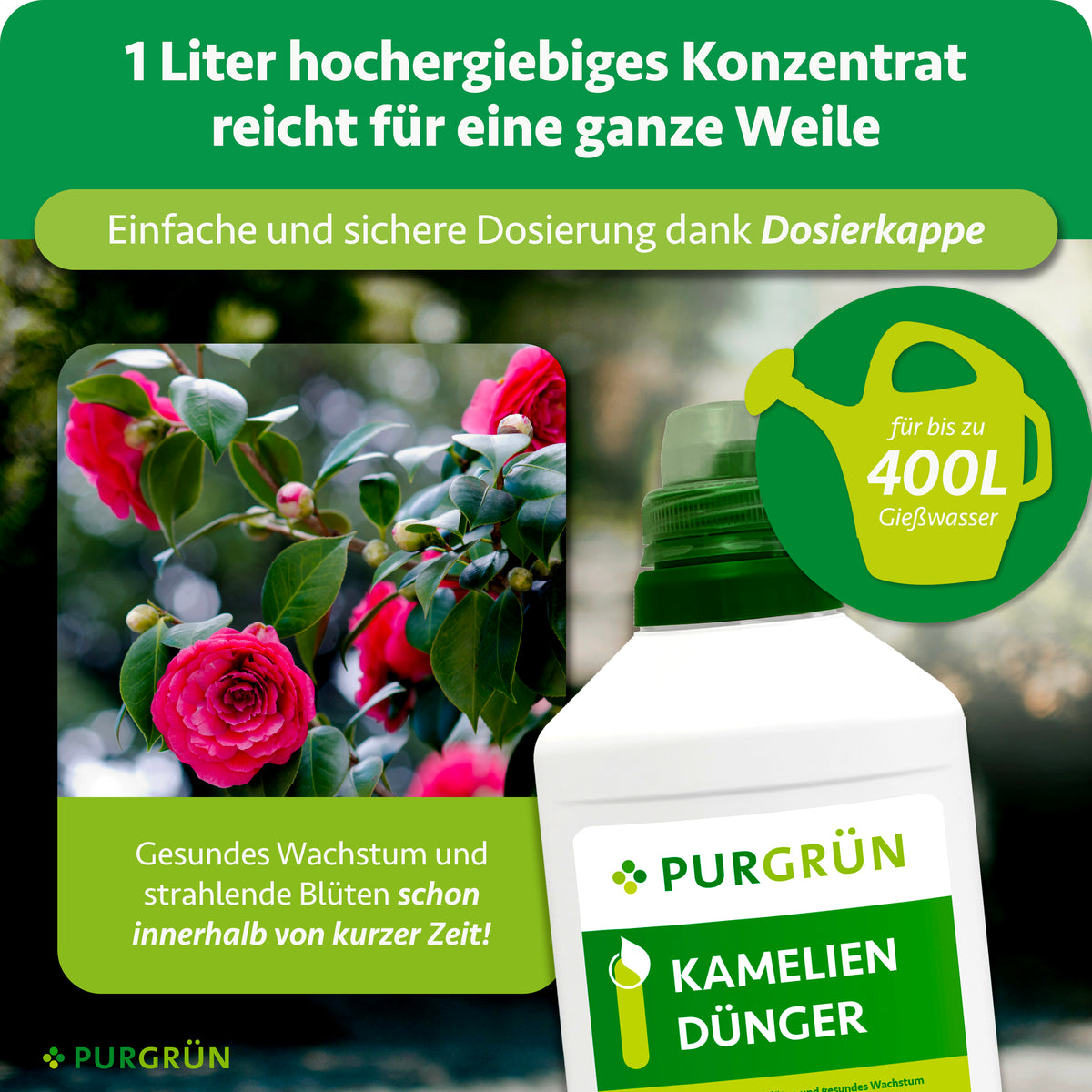 1 Liter hochergiebiges Konzentrat mit Dosierkappe reicht für bis zu 400 Liter Gießwasser und unterstützt gesundes Wachstum sowie strahlende Blüten.