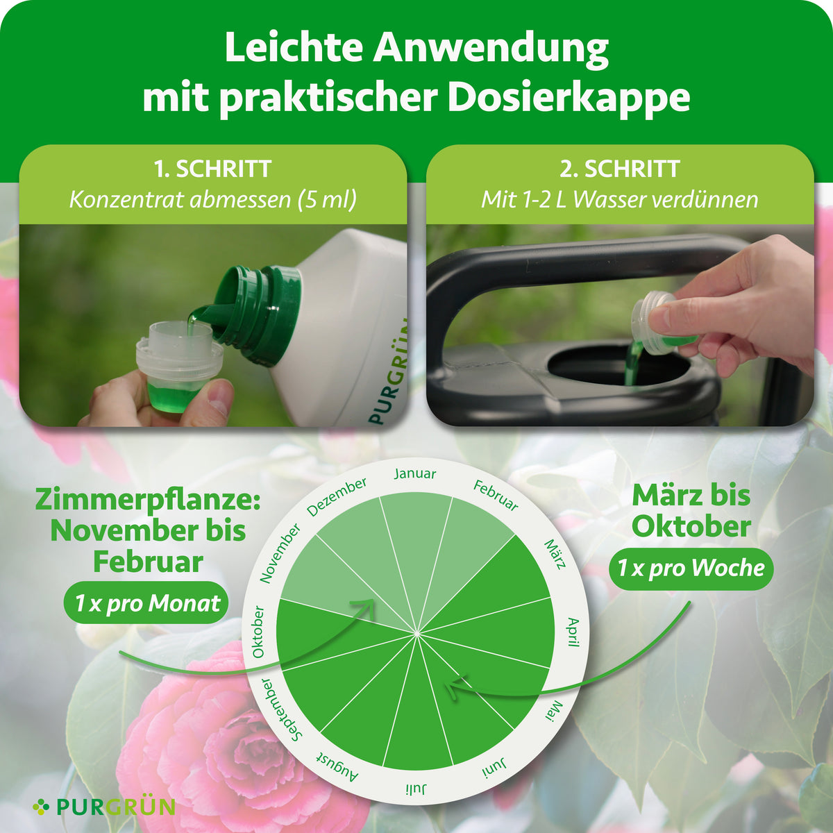 Anwendung: 5 ml Konzentrat abmessen und mit 1–2 Litern Wasser verdünnen. Zimmerpflanzen von November bis Februar einmal monatlich, von März bis Oktober einmal wöchentlich düngen.