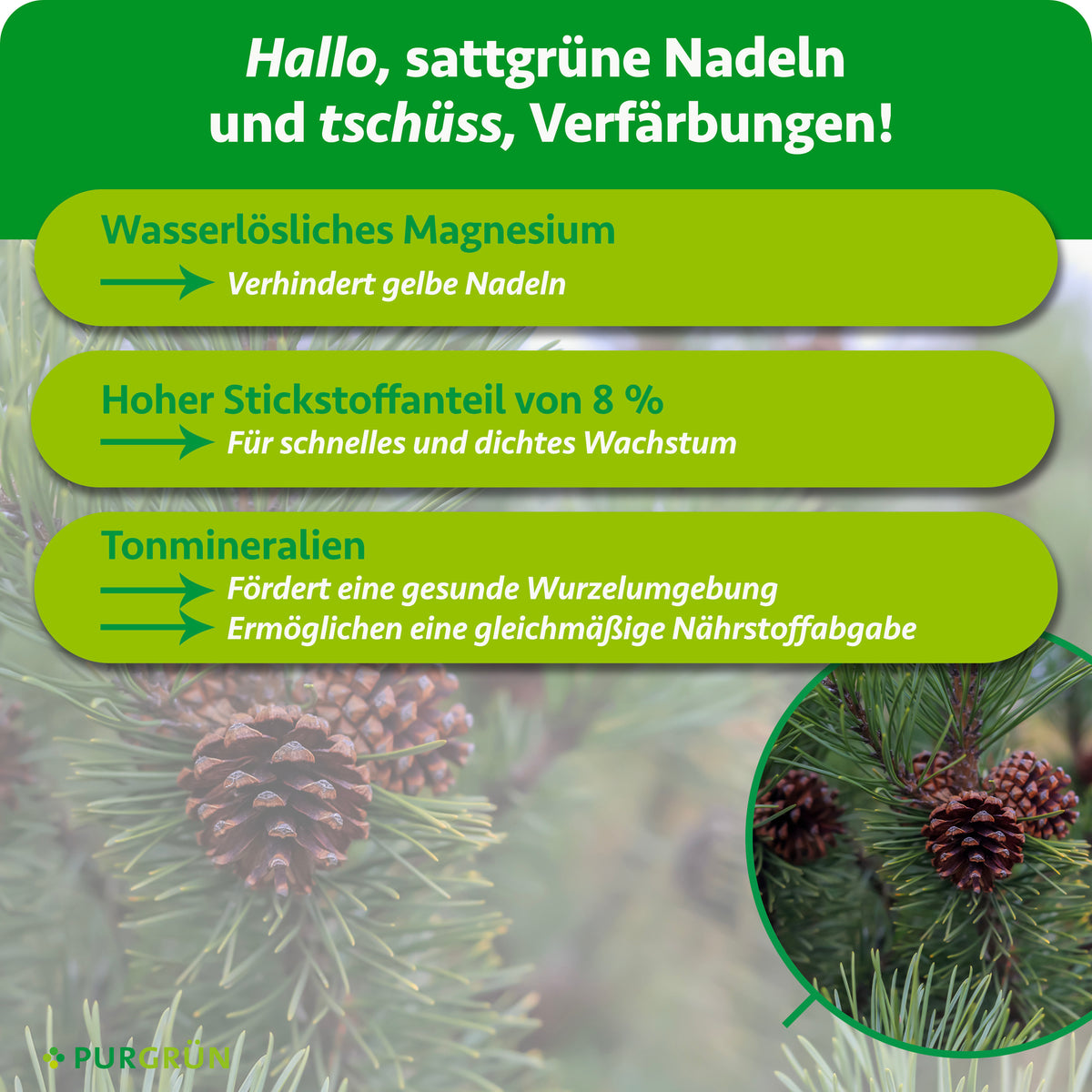 Wasserlösliches Magnesium verhindert gelbe Blätter, 8 % Stickstoff fördern schnelles, dichtes Wachstum. Tonmineralien unterstützen eine gesunde Wurzelumgebung und gleichmäßige Nährstoffabgabe.