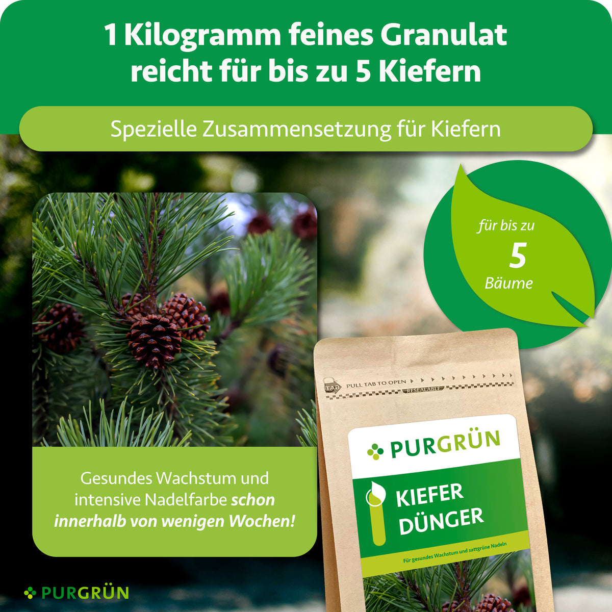 1 kg feines Granulat reicht für bis zu 5 Kiefern; die spezielle Zusammensetzung fördert gesundes Wachstum und intensive Nadelfarbe innerhalb weniger Wochen.