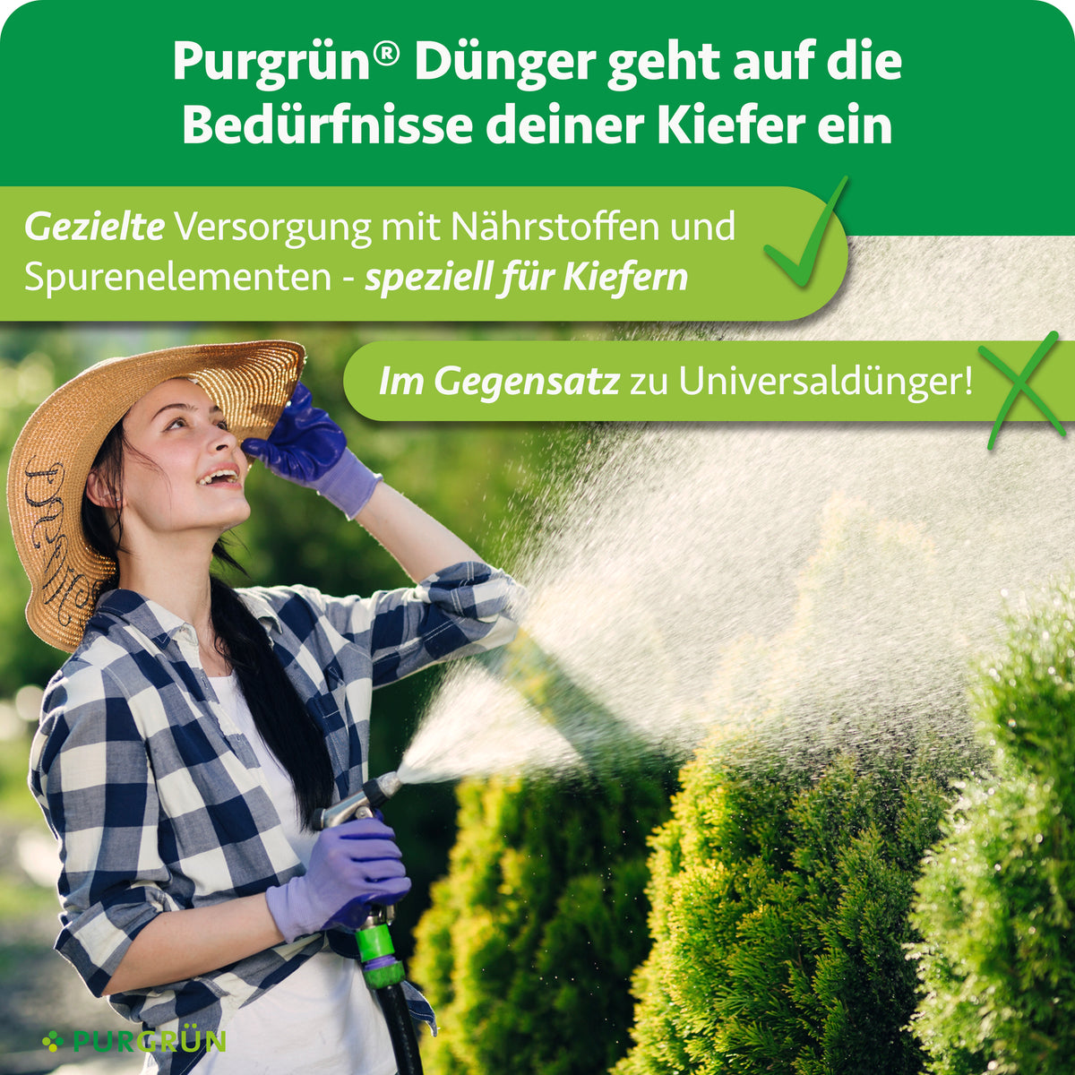 Eine Gärtnerin bewässert Nadelgehölze; der Kiefer-Dünger versorgt Kiefern gezielt mit Nährstoffen und Spurenelementen statt mit Universaldünger.