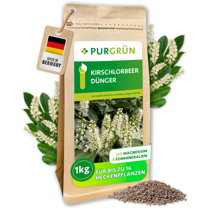 Purgrün Kirschlorbeer-Dünger im 1-kg-Standbeutel mit sichtbarem Granulat und blühendem Kirschlorbeer; mit Magnesium und Tonmineralien für bis zu 16 Heckenpflanzen.