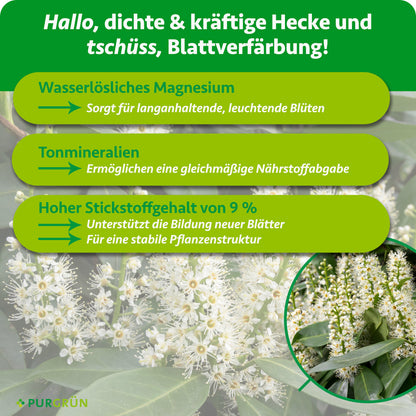 Wasserlösliches Magnesium sorgt für langanhaltende, leuchtende Blüten, Tonmineralien ermöglichen eine gleichmäßige Nährstoffabgabe. 9 % Stickstoff unterstützen die Bildung neuer Blätter und eine stabile Pflanzenstruktur.
