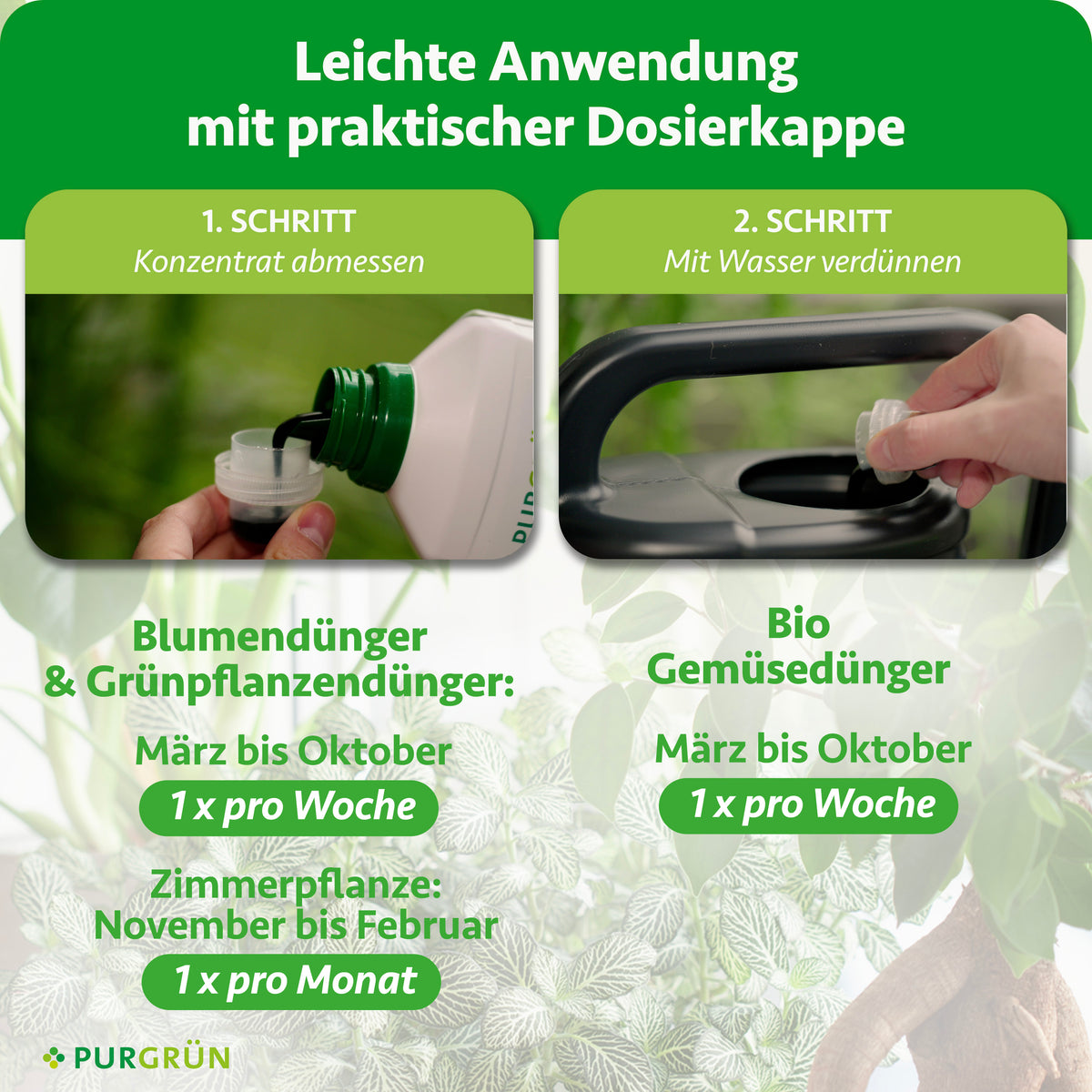 Anwendung in zwei Schritten: Konzentrat abmessen und mit Wasser verdünnen. Blumen- und Grünpflanzendünger von März bis Oktober 1-mal pro Woche, für Zimmerpflanzen von November bis Februar 1-mal pro Monat; Bio-Gemüsedünger von März bis Oktober 1-mal pro Woche.